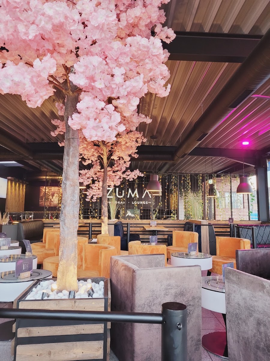 ZUMA Lounge — Vorschau